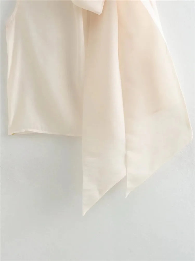 Women Semi-Transparent  Ruched High Neck Elegant Blouse - Neon North Clothing