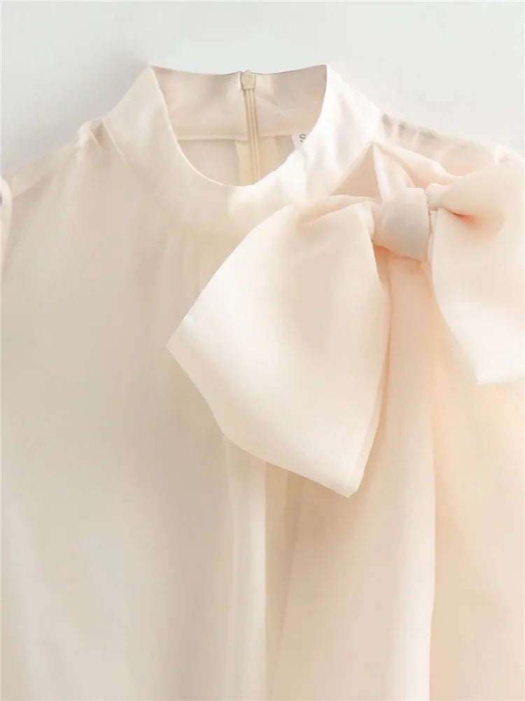 Women Semi-Transparent  Ruched High Neck Elegant Blouse - Neon North Clothing