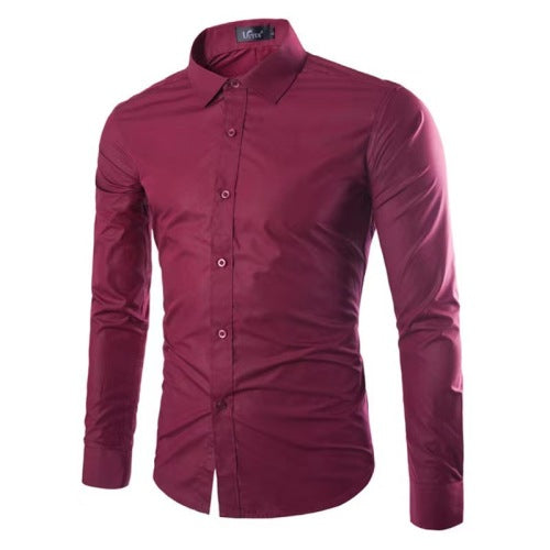 Casual Polo Shirt - Ironing Free Long Sleeves Regular Fit